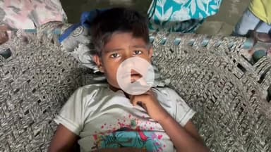 मुज़फ्फरनगर: मुजफ्फरनगर में पिटबुल का कहर, 6 साल के मासूम पर दबंगों ने छोड़ा पिटबुल डॉग, मासूम गंभीर रूप से घायल, आरोपी गिरफ्तार