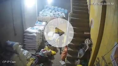 मंझनपुर: मगौरा में खाद बीज के गोदाम में सेंधमारी कर घुसे बदमाश, घटना सीसीटीवी में कैद, नामज़द दी गई तहरीर