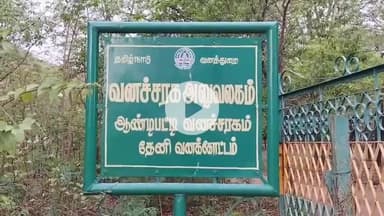 திருமங்கலம்: ஆண்டிபட்டி அருகே எறும்பு திண்ணி செதில்கள் விற்பனை செய்ய முயன்ற 5 பேர் கைது - சிறையில் அடைப்பு