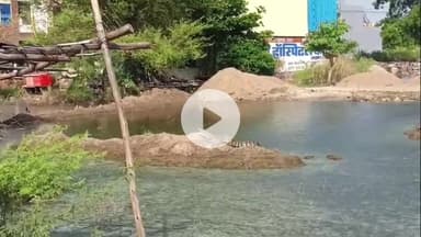 लाडपुरा: जनसमस्या कॉलोनी में मगरमच्छों का आतंक, विभाग नदारद