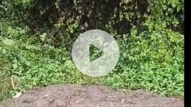 प्रतापगढ़: धौरहरा गांव में जमीन में गड़े पूर्वजों के धन को खोदने की आशंका को लेकर दी तहरीर