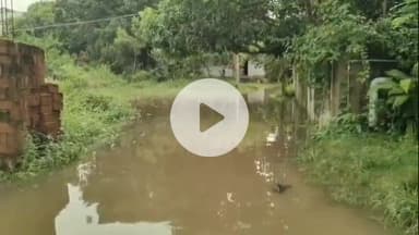 बेगूसराय: लोहिया नगर में दो दिनों से बारिश के कारण पूरा मोहल्ला जलमग्न