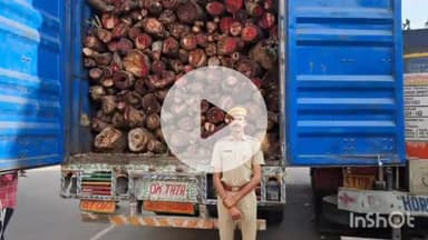 मावली: पुलिस थाना भीण्डर ने कार्रवाई करते हुए करीब 20 टन पलास की गीली लकड़ी से भरे कंटेनर को किया ज़ब्त, चालक गिरफ्तार