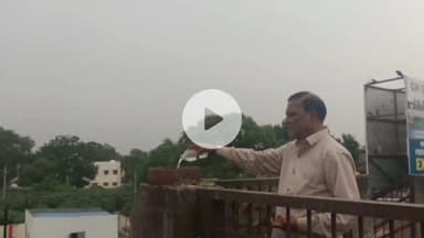 खंडवा नगर: श्राद्ध पक्ष में रेलवे ओवरब्रिज की मुंडेर बनी भोजनशाला, कौवे समेत अन्य पशु-पक्षी ले रहे व्यंजनों का आनंद