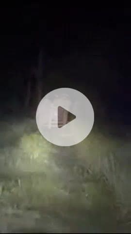 बीसलपुर: सिमरा गांव के पास नेपाली हाथी ने किसानों की फसलें उजाड़ी, इलाके में दहशत