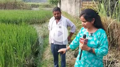 कोल: बारिश व फैक्ट्री से निकलने वाले पानी से अन्नदाताओं की कई बीघा फसल जलमग्न होकर हुई खराब#Jansamasya