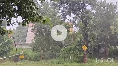 मेदिनीनगर (डालटनगंज): झारखंड में अगले तीन दिनों तक बारिश, गढ़वा, पलामू समेत 11 जिलों में येलो अलर्ट जारी