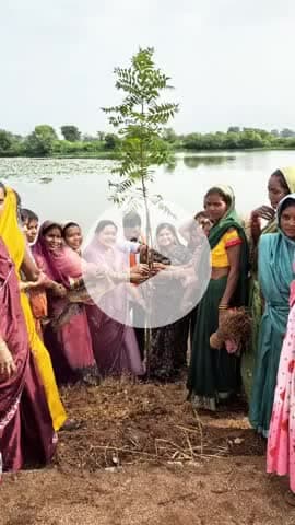 आज प्रधानमंत्री श्री नरेन्द्र मोदी जी के जन्मदिन की अवसर पर नगर पंचायत कोपरा में वृक्षारोपण कर स्वच्छता अभियान चलाया।