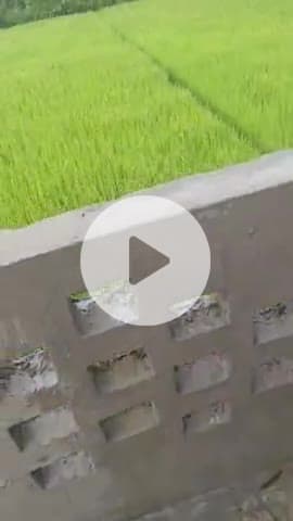 kripya hamare channel ko follow ya subscribe donon Karen