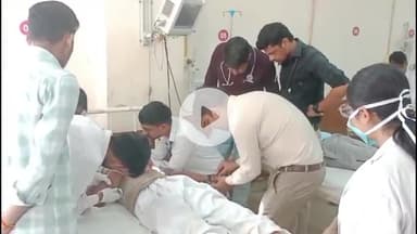 चूरू: गांव रामसरा के खेत में फसल काट रहे किसान पर मधुमक्खियों ने किया हमला, गंभीर हालत में आईसीयू में भर्ती