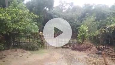 18 सितंबर 2025 तेज बारिश होने के कारण किसान हो रहे अब फसल फसल की हो रही बर्बादी।