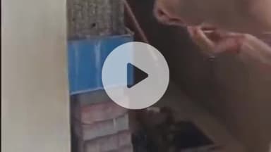 झांसी: पिछोर में घर में निकली नागिन, बच्चा समझकर निकालने लगे लकड़ी से, नागिन के फुंकारते ही उड़े सबके होश, वीडियो हुआ वायरल