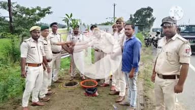 राजगीर: राजगीर में सेवा पर्व पर 'एक पेड़ माँ के नाम' अभियान की शुरुआत हुई