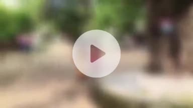 प्रतापगढ़: ठनेपर गोपापुर गांव में दो वर्ष की बच्ची के चाचा पर दुष्कर्म का आरोप