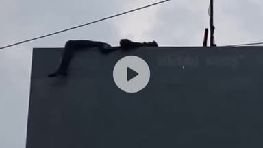 ग्वालियर गिर्द: ग्वालियर में सनकी युवक होर्डिंग पर चढ़कर करने लगा आराम, पुलिस के प्रयास भी रहे बेअसर