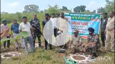 पलिया: संपूर्णा नगर वन रेंज में 'मां के नाम' अभियान के तहत 100 पौधों का हुआ रोपण