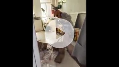 झांसी: झांसी मेडिकल कॉलेज के OT ब्लॉक में घुसा सांप, सपेरे ने मेहनत कर पकड़ा, वीडियो सोशल मीडिया पर आया सामने