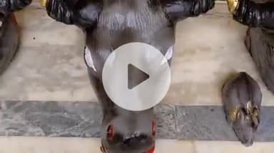 झांसी: झांसी में सांप्रदायिक सद्भाव की अनूठी मिसाल, मुस्लिम मूर्तिकार पिछले 15 वर्षों से बना रहे हैं मां दुर्गा की प्रतिमाएं