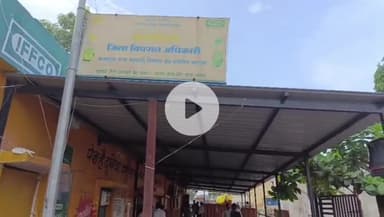 खंडवा नगर: खंडवा में खाद की किल्लत, डीएपी गायब होने से किसान परेशान, खाद से भरे ट्रक भी गायब