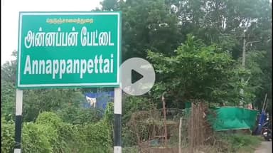 பாபநாசம்: விழுந்து விடுமோ ... அச்சப்பட்டுக் கொண்டே சாய்ந்து கிடக்கும் மின்மாற்றி கடந்து செல்லும் மெலட்டூர் பகுதி மக்கள்