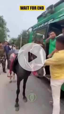 #तेजस्वी यादव मोकामा में घोड़े की सवारी करने की कोशिश में गिरे #rellaistar #video #बिहार #KhesariLalYadav #vanudgreat #दल