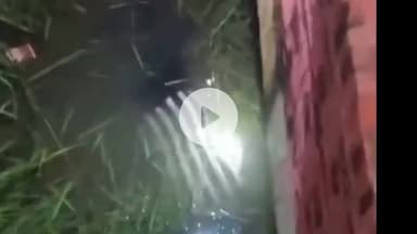 उतरौला: उतरौला तहसील अंतर्गत गैंडास बुजुर्ग में सरजू नहर के पुल के नीचे मिली अज्ञात युवक की लाश