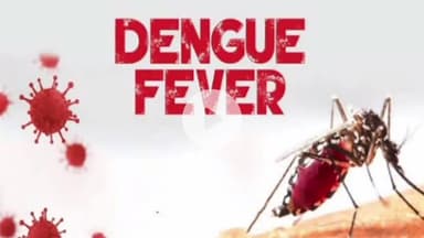 ग्वालियर गिर्द: ग्वालियर में डेंगू के बाद जापानी इंसेफेलाइटिस का खतरा, एक महिला संक्रमित