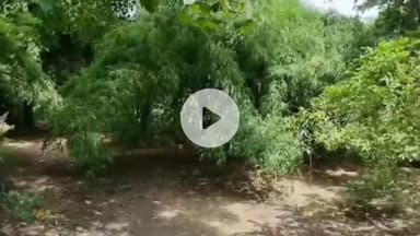 खंडवा नगर: खंडवा नगर का भीमकुंड: महाभारत काल में पांडव अज्ञातवास के दौरान यहाँ आए थे