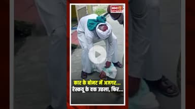 कार के बोनट में अजगर... रेस्कयू के वक्त उछला, फिर... | Snake Rescue Viral video