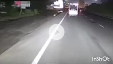 धार: धार जिले के खलघाट के पास सड़क पर दिखा तेंदुआ, वीडियो सोशल मीडिया पर हुआ वायरल