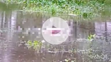 बहराइच: आढीपुर के पास तालाब में मिला एक व्यक्ति का शव, पुलिस जांच में जुटी