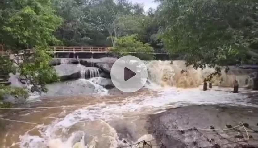 ஜமுனாமரத்தூர்: பீமன் நீர்வீழ்ச்சியில் ஆர்ப்பரித்து கொட்டும் காற்றாற்று வெள்ளம்