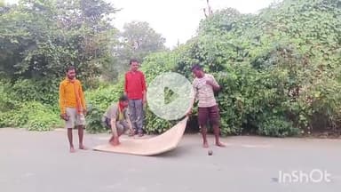 खेरागढ़: झांसी से गोवर्धन की 300 किलोमीटर दंडवत यात्रा खेरागढ़ पहुंची