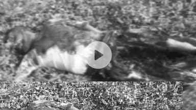 नामकुम: एयरपोर्ट थाना क्षेत्र में एक युवक का जला हुआ शव बरामद, पुलिस जांच में जुटी