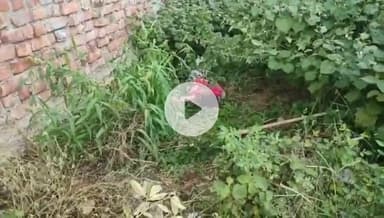 इटावा: इकदिल इलाके में पति-पत्नी ने विवाद के बाद खौफनाक कदम उठाया, पति ट्रक के आगे कूदा, पत्नी ने छत से कूदकर आत्महत्या का प्रयास किया