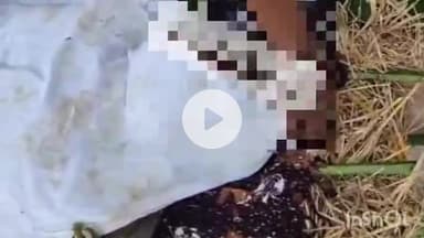 जगदलपुर: बालीकोंटा DPS स्कूल के पास संदिग्ध अवस्था में मिला युवक का शव, दो दिन पहले किसी झगड़े के बाद निकला था घर से