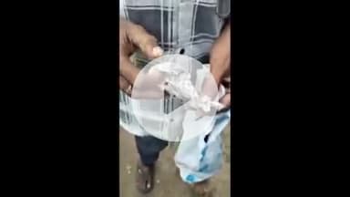 मंझनपुर: समदा में सरकारी भांग की दुकान में गांजा बेचे जाने का वीडियो वायरल, मंझनपुर पुलिस को जांच के निर्देश