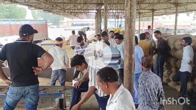 सरदारपुर: कांग्रेस विधायक प्रताप ग्रेवाल ने मुख्यमंत्री से समर्थन मूल्य पर सोयाबीन खरीदी शुरू करने की मांग की