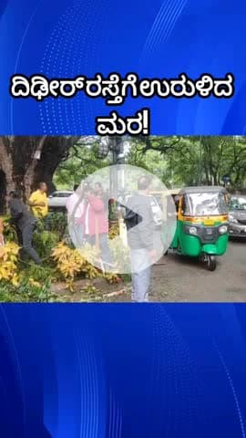 ಯೆಲಹಂಕ: ಶ್ರೀನಿವಾಸ ನಗರದಲ್ಲಿ ದಿಢೀರ್ ಉರುಳಿದ ಮರ! ಜನರೆಲ್ಲಾ ಕಕ್ಕಾಬಿಕ್ಕಿ