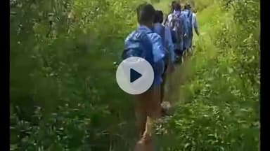 कांडा: कमस्यारघाटी में गुलदार की दहशत बरकरार, स्कूली बच्चों में खौफ, पूर्व सैनिक खाती की अगुवाई में झाड़ी कटान