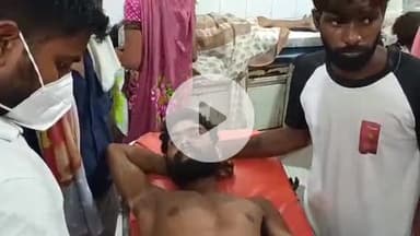 मिश्रिख: फत्तेपुर में मधुमक्खी के छत्ते से शहद निकालने के लिए पेड़ पर चढ़ा युवक, मधुमक्खी के काटने से नीचे गिरकर हुआ जख्मी