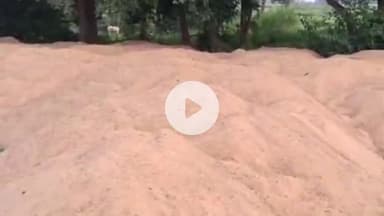 भंडरा: लोहरदगा खनन विभाग की बड़ी कार्रवाई: भंडरा के बंडा ग्राम में नंदनी नदी किनारे अवैध बालू खनन पर 400 ट्रैक्टर बालू ज़ब्त