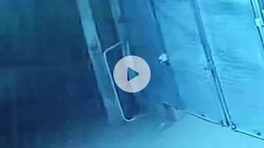 ਲੁਧਿਆਣਾ ਪੂਰਬੀ: ਗੁਰਪਾਲ ਨਗਰ ਲੁਧਿਆਣਾ ਵਿੱਚ ਕਲੀਨਿਕ ਦਾ ਸ਼ਟਰ ਤੋੜ ਕੇ ਚੋਰੀ ਕੀਤਾ 20 ਕੈਸ਼, ਸੀਸੀਟੀ ਵਿੱਚ ਦਿਖੇ ਦੋ ਐਕਟੀਵਾ ਸਵਾਰ ਵਿਅਕਤੀ