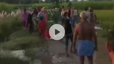 खड्डा: कुशीनगर शिवपुर रेता क्षेत्र में खेतों की ओर गए किशोर पर बाघ का हमला, सिर पर पंजा मारकर किया लहूलुहान, इलाज जारी