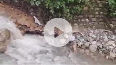 नरेन्द्रनगर: तपोवन स्थित स्वामी समर्पणानन्द आश्रम घुग्तानी में आपदा ने काफी नुकसान पहुंचाया, चार जगह आश्रम को हुआ है नुकसान