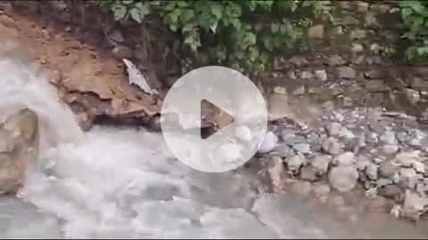 नरेन्द्रनगर: तपोवन स्थित स्वामी समर्पणानन्द आश्रम घुग्तानी में आपदा ने काफी नुकसान पहुंचाया, चार जगह आश्रम को हुआ है नुकसान