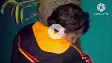 পূব যোৰহাট: বঙালপুখুৰীৰ বাসগৃহত নিজেই ৰোৱা এজোপা পাইন গছ সাৱতি জুবিন দায়ে পাতিছিল কথা,কেইমাহ মান পূৰ্বে পাইন গছ জোপা মৰি গৈছিল