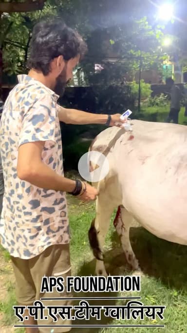 किसी ने उसकी पीठ में तलवार भोंक दी..! 

Respect Girls help poor help animals 

#apsgurjar #viral #gwalior