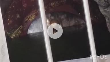 मुंगेर: चंडिका स्थान से अब तक नहीं निकला बाढ़ का पानी, नवरात्र में श्रद्धालु कैसे करेंगे पूजा-पाठ?