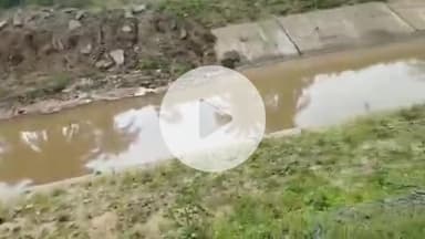 परलकोट जलाशय नाली निर्माण में भ्रष्टाचार,उत्तर बस्तर कांकेर जिले के पखांजूर क्षेत्र में बन रहे।